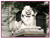 New York Public Library Lions Fortitude