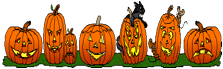 bar1-13.gif (13799 bytes)