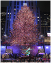 Rockefeller Center Tree